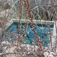 خانه-باغ-منشاد