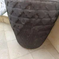 دو عدد گلدان بزرگ|گل و گیاه طبیعی|تهران, بهمن یار|دیوار