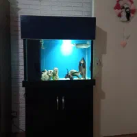 آکواریوم سامپ دار آبشور