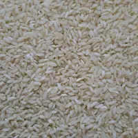 برنج چمپا لری درج یک کیلو ۲۷۰هزارتومان.