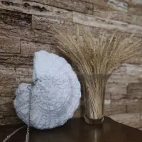 کیف صدفی