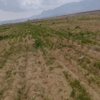 1هکتار زمین کشاورزی