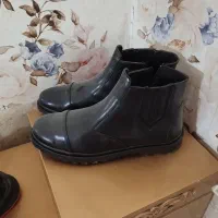 کفش درحد نو|کیف، کفش، کمربند|اردبیل, |دیوار