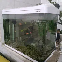آکواریومmc600 ماهیران به علاوه ماهی