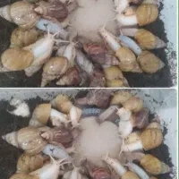 فروش حلزون یک سوم قیمت