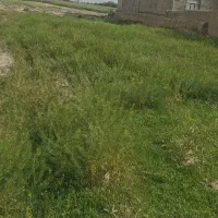 زمین با موقعیت مکانی فوق‌العاده