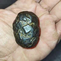 شهاب سنگ|جواهرات|شیراز, فخرآباد (دروازه کازرون)|دیوار