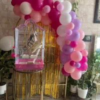 فروشه ریسه بادکنک ۲متری فقط۶۰۰تومن