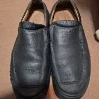 کفش مردانه red wood  رد وود|کیف، کفش، کمربند|صدرا-فارس, فاز ۲|دیوار