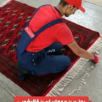 کارخانه قالیشویی مجاز طلا