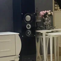 اسپیکر دوقلو خانگی ونوس