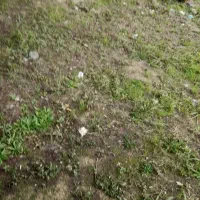 نیاز به مشاوره