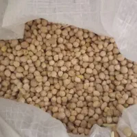 نخود‌وگندم‌دیم