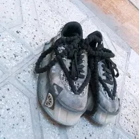 کفش کتونی دو رنگ پاندا