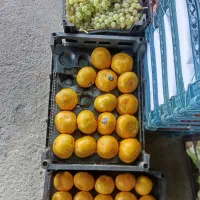 مغازه-میوه-فروشی