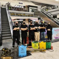 سمپاشی سم پاشی فوری ساس موش سوسک باضمانت100%ومجوز