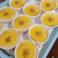 فروش کاستروژله