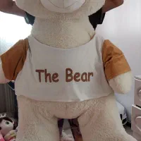 خرس بزرگ
