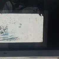 ماکروفر فلر