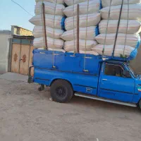 کاه امسال