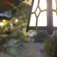 سالندار آقا ، ویتر آقا