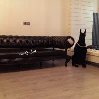 مبل چستر غر