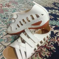 صندل شیری
