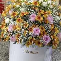 فروش تکی و عمده انواع گل. های تزینی