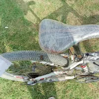 دوچرخه 24|دوچرخه، اسکیت، اسکوتر|صومای برادوست, |دیوار