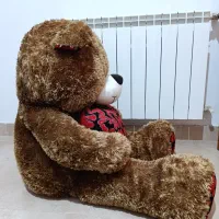 عروسک خرس|اسباب‌‌بازی|رشت, معلم|دیوار