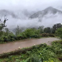 ویلای جنگلی