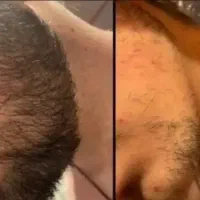 گیاهی و ارگانیک