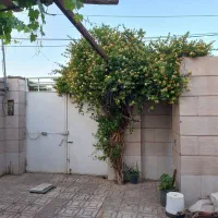 معاوضه-خانه-تربت-جام-با-مشهد