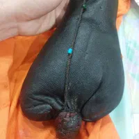 هیزه مسافرتی