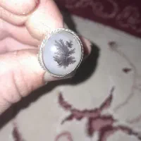 شجر|جواهرات|تربت‌حیدریه, باغ ملی|دیوار