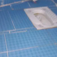 زوةاناا|پرنده|اهواز, شهرک اکباتان|دیوار