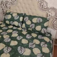 تخت خواب ۲نفره چوب گردو همراه خوشخواب|تخت و سرویس خواب|گلبهار, شهر جدید گلبهار|دیوار