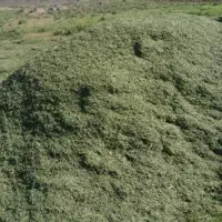 علف