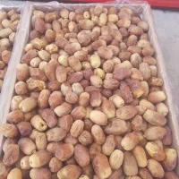 خرمای زاهدی درجه یک فقط تناژ|عمده‌فروشی|فراشبند, |دیوار