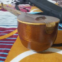 سه تار انیس مصلی نژاد