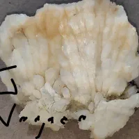 سنگ راف کریستال راف معدنی اصل زیبا جواهرات|جواهرات|محمودآباد, |دیوار