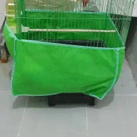 قفس عروس هلندی