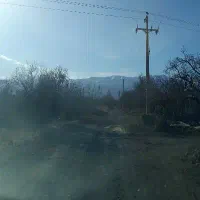 نیاز به کارگر برای کار در زمین کشاورزی