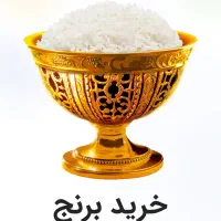 فروش برنج هاشمی درجه یک