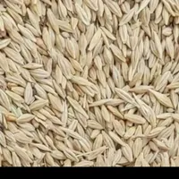 جو تمیز خوارکی و بذری  برا امسال هس