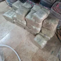 نیروی کار خانم و اقا بسته بندی