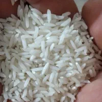 برنج هاشمی