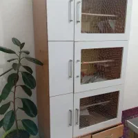 قفس