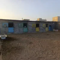 اجاره (باشگاه) اصطبل پرورش اسب