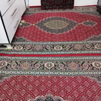 قالی با پشتی|فرش|مریوان, |دیوار